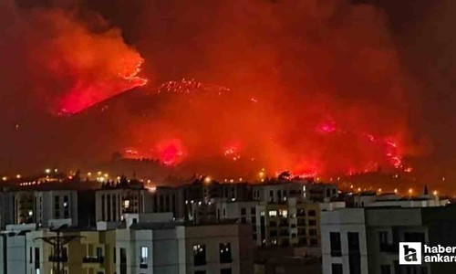 ABB orman yangınları için İzmir'e ek destek ekipleri gönderecek!