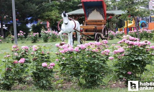 Keçiören Belediyesi'nden parklara estetik dokunuş