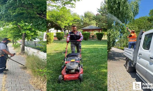 Kahramankazan Belediyesi, çevre düzenlemesi çalışmalarını sürdürüyor