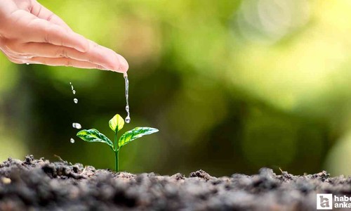 ABB, 16 Temmuz'da yüzde 50 hibeli damla sulama borusunun dağıtılacağı adresleri açıkladı