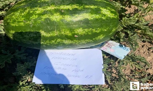 Ankara'ya giderken tarladan karpuz aldılar, bıraktıkları notla gönülleri fethettiler