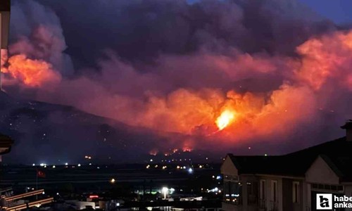 Sakarya'daki orman yangını büyümeye devam ediyor