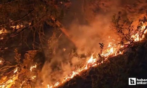 Eskişehir'de 5 orman işçisi ve 5 AKUT çalışanı şehit oldular