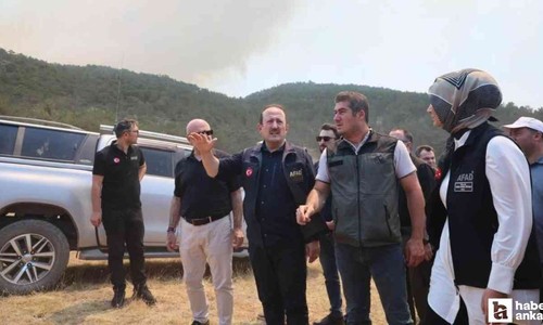 Orman yangınlarına karşı 4.231 personel saha görev yapıyor!