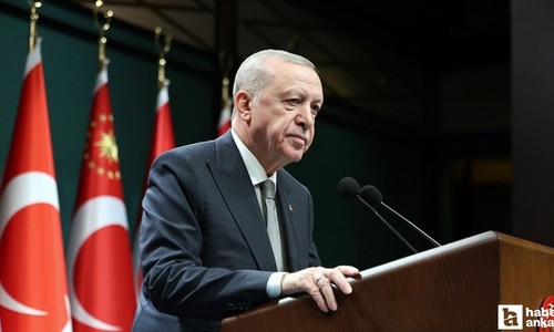 Cumhurbaşkanı Erdoğan: 'Yangınların yüzde 96'sı insan kaynaklı'