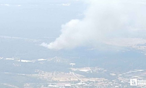 İzmir'de yeni orman yangını: Buca ve Bornova yanıyor!