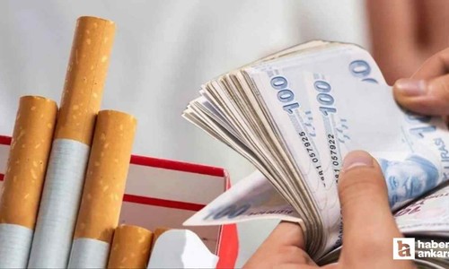 Uzmanından uyarı: 'Sigara fiyatı, Türkiye'de en az 300 TL olmalı!