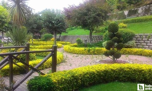 Başkentlilerin en sevdiği parklar arasında: İçinde tam 80 farklı bitki türü var