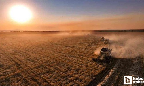 Çiftçilere tarımsal destekleme ödemesi gün içinde hesaplara yatırılacak!