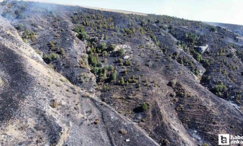 Çorum'da otluk alanda başlayan yangın kısa sürede kontrol altına alındı