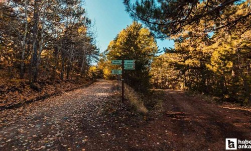 Ankara'daki bu milli park ormanlarıyla İç Anadolu ve Karadeniz arasında doğal geçit oluşturuyor