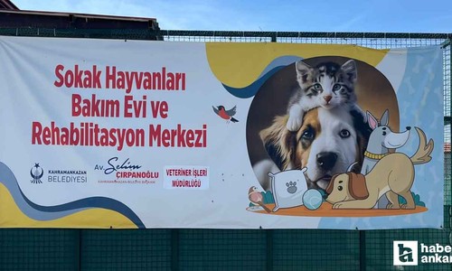 Kahramankazan Belediyesinden sokak hayvanlarına yardım eli!