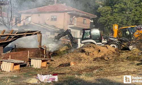 Kızılcahamam'da besi çiftliğinde yangın çıktı!