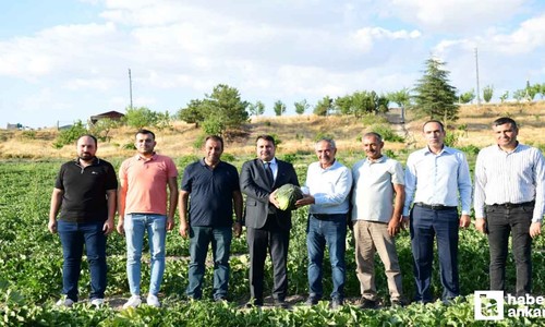 Kahramankazan Belediyesi duyurdu: Kazan Kavunu muhteşem lezzetiyle sofralara geri dönüyor!