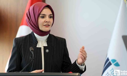 Bakan Göktaş, 380 binden fazla anneye doğum desteği verildiğini açıkladı