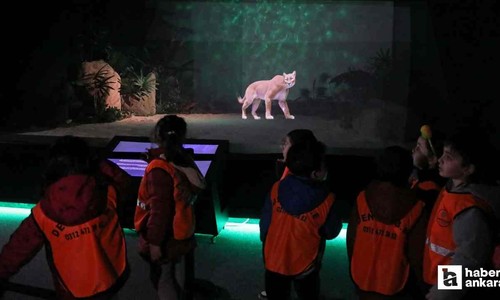 ABB Dijital Hayvanat Bahçesi'nde yenileme ve bakım çalışması yapacak