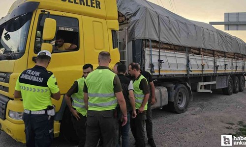 Orman İşletme Müdürlüğü ekipleri Beypazarı'nda denetim yaptı