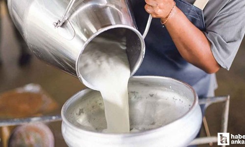 Ulusal Süt Konseyi duyurdu: Çiğ süt tavsiye satış fiyatına 1.25 TL zam geldi!