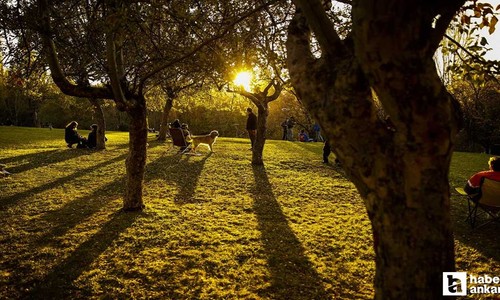 Ankara'da sonbahar en güzel bu parkta yaşanıyor, selfie tutkunları buraya koşuyor!
