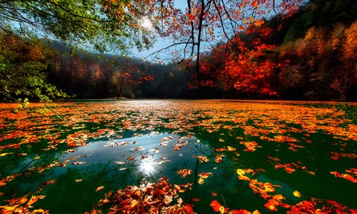 Şimdi rüya gibi! Sonbaharda Ankara'ya en yakın gezilebilecek cennet