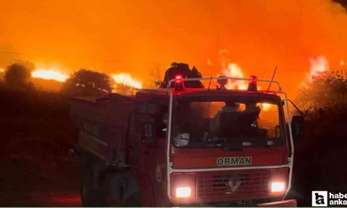 Bursa'da çıkan orman yangınına müdahale sürüyor