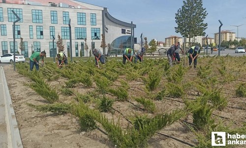 Etimesgut Belediyesi park ve bahçelerde mevsimsel bakım çalışmalarını sürdürüyor