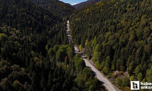 Ankaralıların hemen burnunun dibindeki doğal cennet: Şimdi renk cümbüşü!
