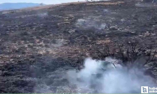 Çankırı'da korkutan arazi yangını!