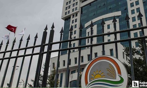 Ankara'da sahte bal uyarısı: Taklit ve tağşiş yapılan ürünler açıklandı