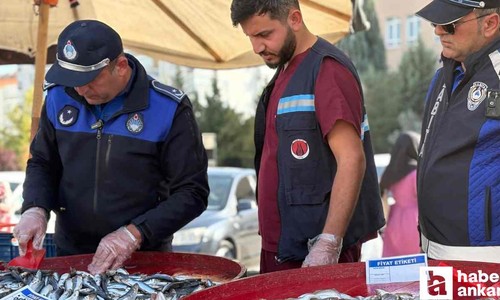 Sincan Belediyesi zabıta ekipleri balık tezgahlarını denetledi