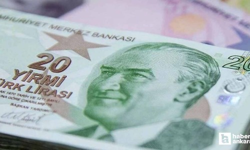 Merkez Bankası bugün 20 TL'lik yeni banknotları tedavüle sokuyor