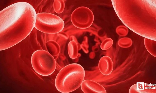 Vücutta demir eksikliğini hızlıca ortadan kaldırmak 3 besinden geçiyor