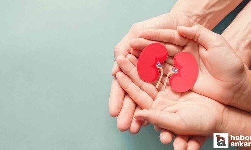 Sincan Belediyesi'nden Organ Bağışı haftasına ilişkin seminer duyurusu