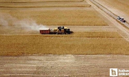 Çiftçilere 1 milyar TL'den fazla tarımsal destek ödemesi yatırılacak