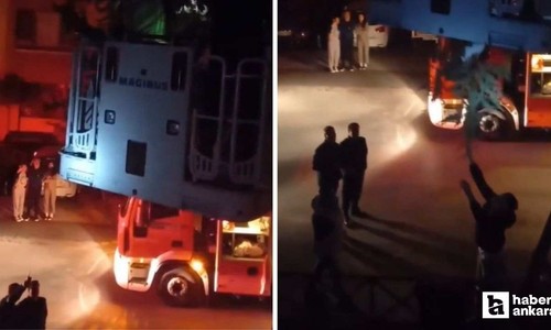 Keçiören'de ağaçta mahsur kalan kediyi itfaiye kurtardı