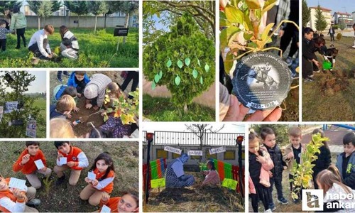 81 ilde fidan dikim etkinliği düzenlendi