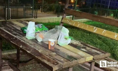 Pursaklar Belediye Başkanı Çetin'den parklara çöp atanlara tepki!