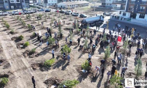 Sincan'da 244 fidan toprakla buluştu!