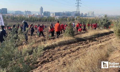 Ankara'da Akut Şehitleri anısına 3 hatıra ormanı