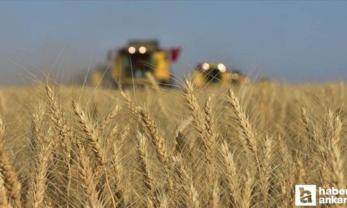 Tarım ÜFE verileri ekim ayında artış gösterdi