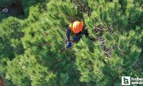OGM bünyesine 496 sözleşmeli personel alımı yapılacak!