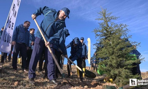 Bala'da PTT 185. Kuruluş Yıl Dönümü Hatıra Ormanı için fidanlar dikildi