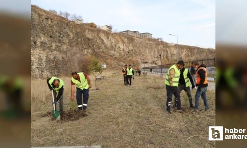 Ankara'ya '8 Kasım Karabağ Zaferi Hatıra Ormanı'