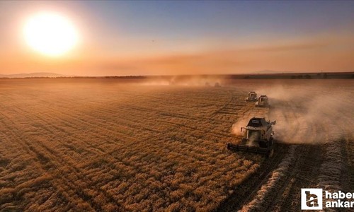 Çiftçilere 330 milyon TL'den fazla tarımsal destek ödemesi yatırılacak