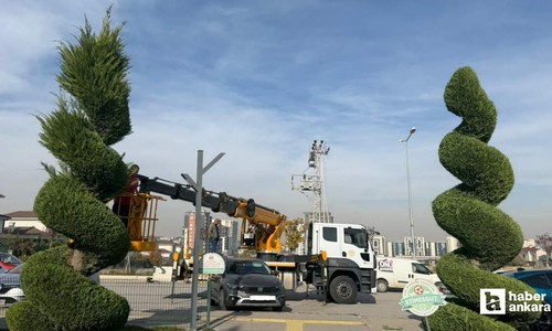 Etimesgut Belediyesi ilçe genelinde budama ve kesim çalışması gerçekleştirdi