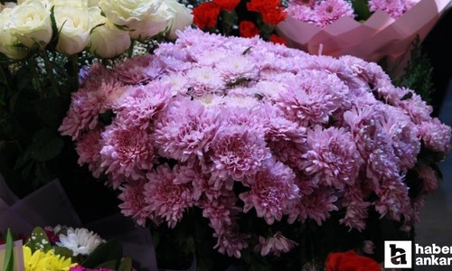 Başkentte Öğretmenler Günü için Kasımpatı tercih edildi