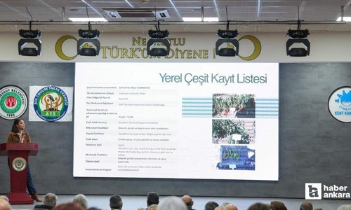 Etimesgut Belediyesi Kışlık Ata Tohumu Takas Etkinliği düzenledi