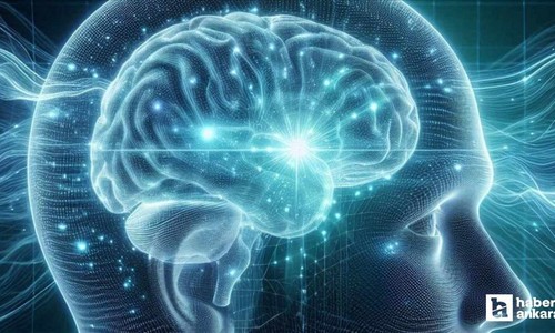 İnsan beyninin 5 gelişim evresinden geçtiği tespit edildi