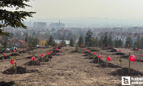 Sincan Belediyesi'nden kadına yönelik şiddete karşı farkındalık etkinliği!