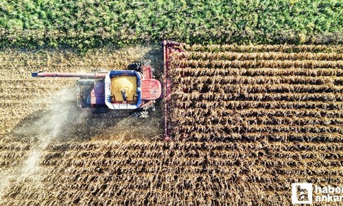 Başkentte yağışlar tarımsal faaliyetler için beklentiyi karşıladı